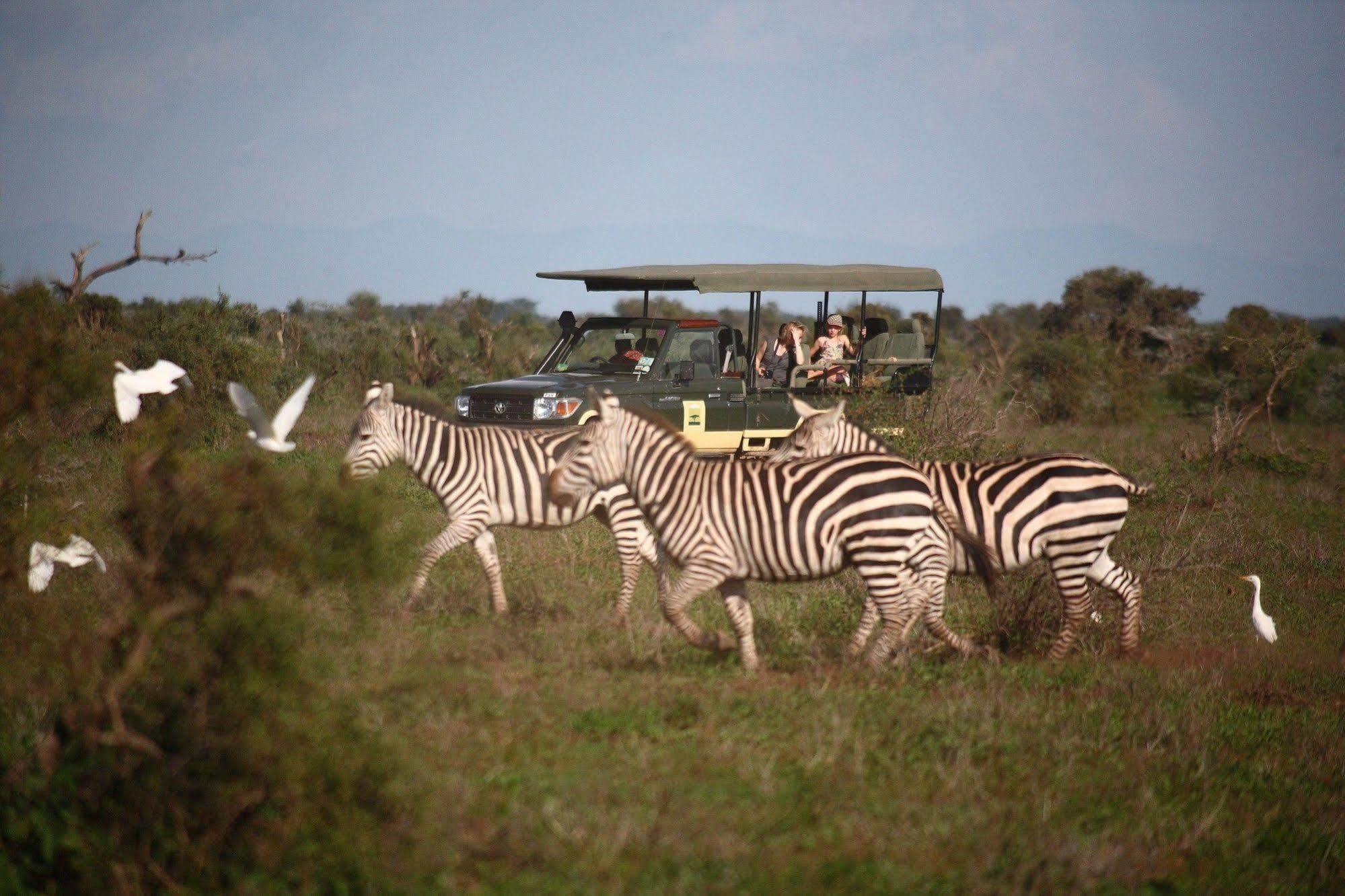Hotel Elewana Tortilis Camp Amboseli-Nationalpark Exterior foto